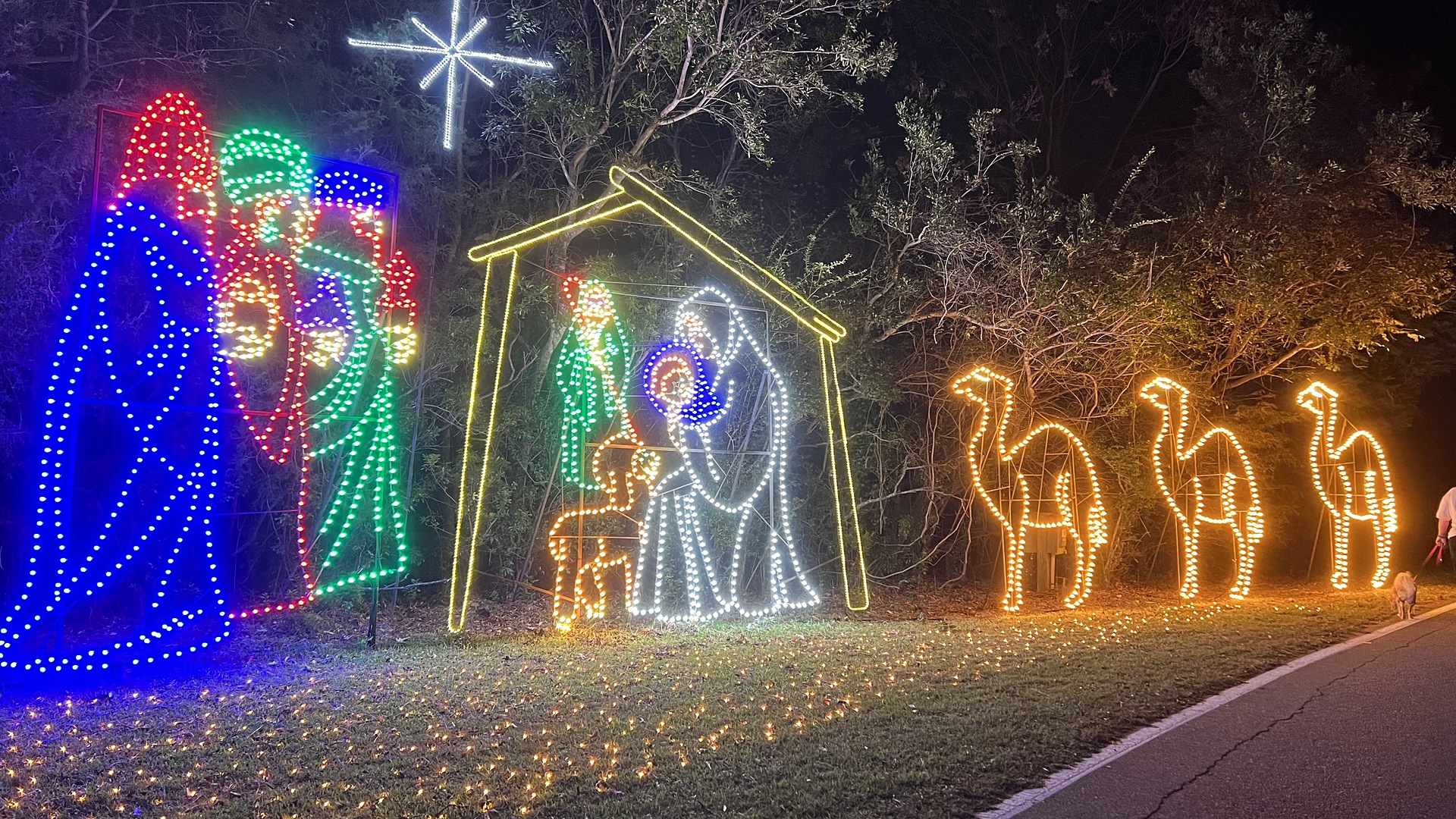 Nativity light display along the drive at the Holiday Festival of Lights, James Island County Park