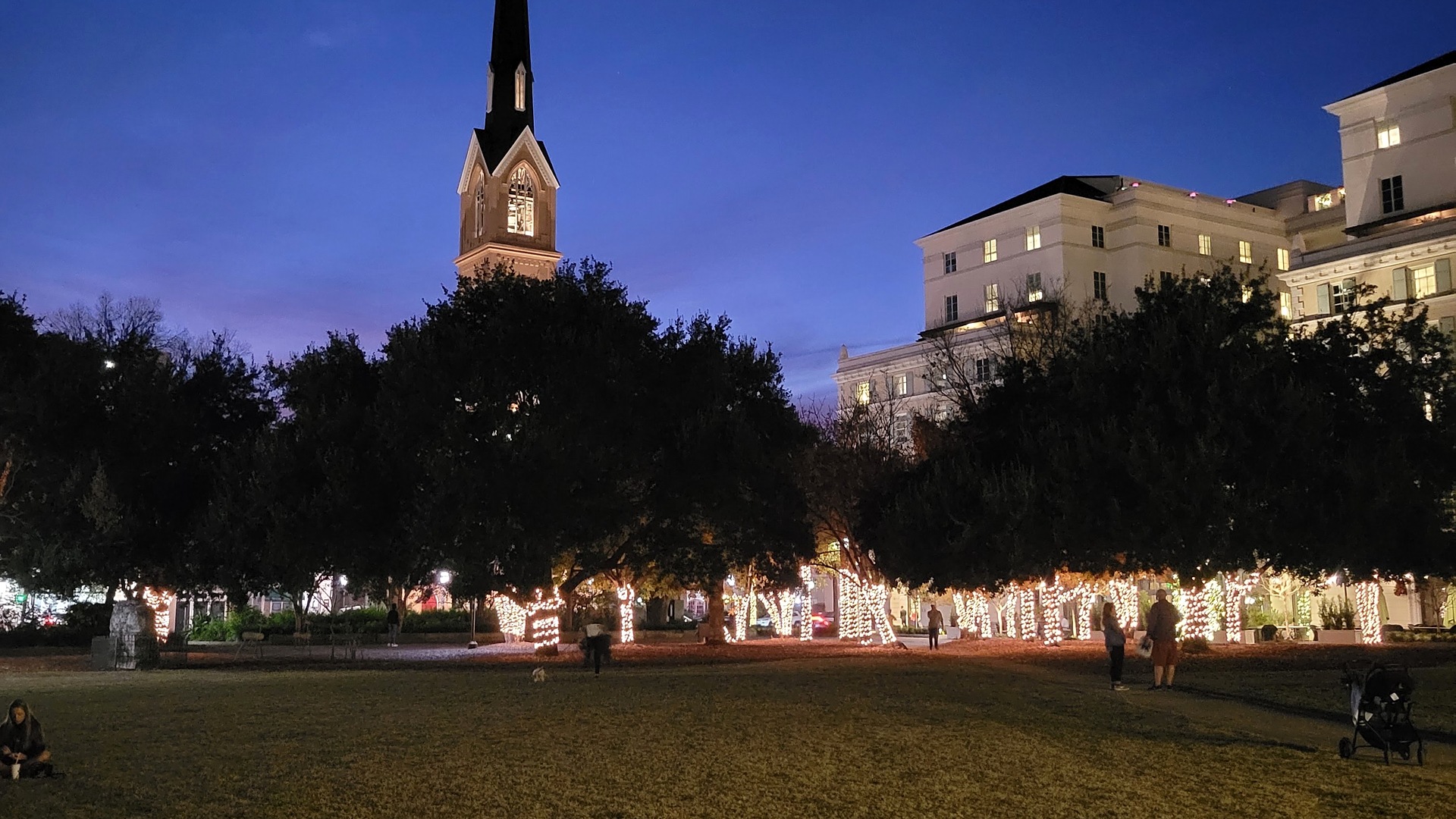 Marion Square in downtown Charleston with holiday lights on the trees at dusk